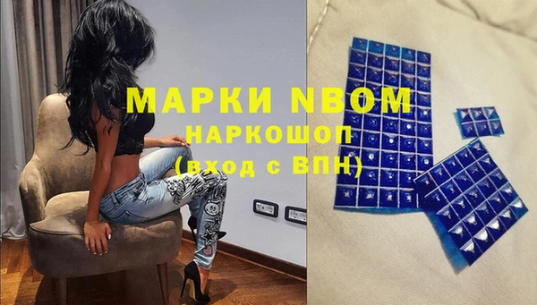 apvp Богданович