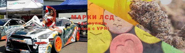 apvp Богданович