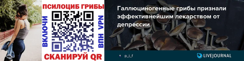 Галлюциногенные грибы Psilocybe  закладки  Зарайск 